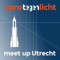 Tegenlicht Meet Up: De consultant regeert