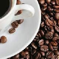 Koffie met... modelbouwer Harry van Keulen | Vlieland