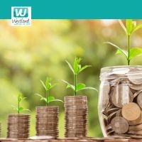 Beleggen - wat kunnen we doen met ons geld?