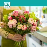 Bloemschikken 6 lessen