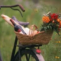 VVV Bike & Bite culinaire fietstocht.