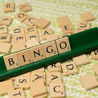Taal Bingo in Stein