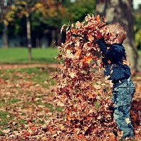 Voorleesmoment: Herfst