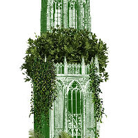 Het Wilde Stadscafé: Samen kunnen we één groot park zijn