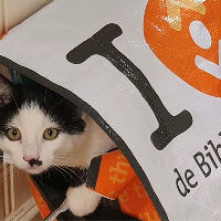 Dierendag Speurtocht in de Bibliotheek
