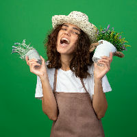 Vanuit de Roeg-hoek: lezing over schaduwplanten en siergrassen
