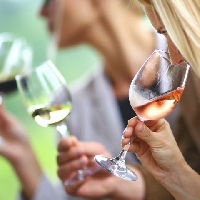 Workshop Vinologie: Topwijnen van de zuidelijk Rhônevallei