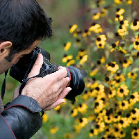 Korte cursus: Basis fotografie (6 lessen)