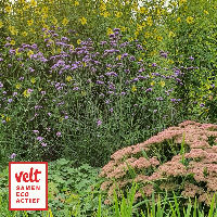 Cursus Ecologische siertuin | i.s.m. Velt