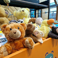 Knuffels logeren in de bieb (2+)