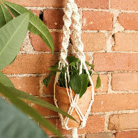 Plantenhanger maken met macramé