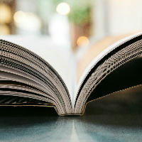 Cursus Het Pieck: Literatuurbeschouwing