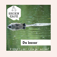 Groen Café De bever: Knaagt hij aan zijn eigen succes?