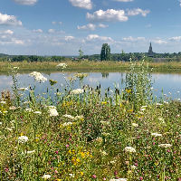 KennisMaker | Een groene oase in de voormalige Hermangroeve