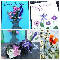 Workshop Zaadbommen en kaartjes met droogbloemen maken