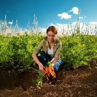 Lezing: Start en onderhoud je eigen moestuin