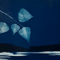Expositie  “Blauwdrukken” van Robine Deleij