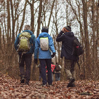 Taalwandeling De Wijk