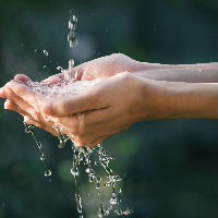 Excursie: Ontdek in Meijendel waar ons drinkwater vandaan komt