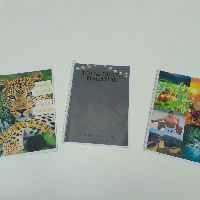 Summerschool: Maak je eigen dierentijdschrift