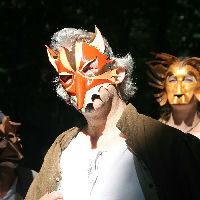 Zin in Zondag: Van den vos Reynaerde - Middeleeuws straattheater