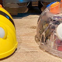 Bee-Bot speurtocht-challenge
