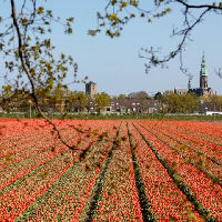 Politiek Café Lisse