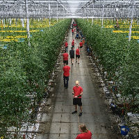 Groene inspiratiemarkt: Kadir van Lohuizen