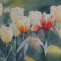 Expositie: Aquarellen
