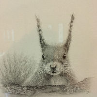 Expositie tekeningen Cindy de Vries | Dokkum