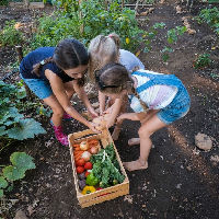 Kinderworkshop Smullen uit de tuin