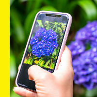 Workshop planten en dieren herkennen met je mobiel