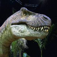 MAAKpunt Stadshagen: Word een paleontoloog voor een dag!