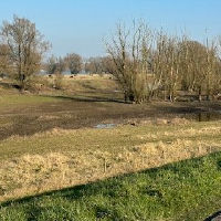 Een gezond(e) gemeente, gemeenschap mens: interactieve lezing