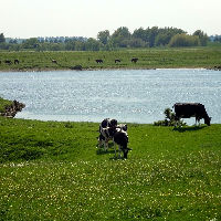 Samen gezond in Beuningen