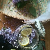 Kruidenwandeling en workshop