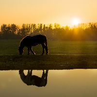 Expositie Landschaps- en Natuurfotografie door Fotogroep Zoetermeer