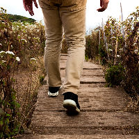 Maand van de AI | Weg van Wifi - een offline wandeling