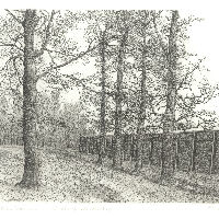 Expositie Philip Wiesman etsen