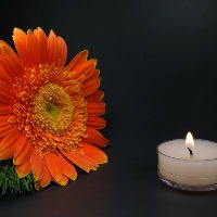 Workshop: Handvatten voor rouwverwerking