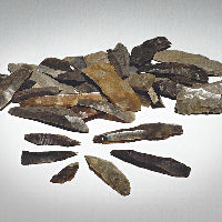 Beleef de Bieb: Archeologische vondsten in Heusden