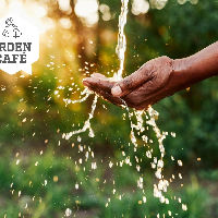 Groen Café: Leven met Water - balans tussen schaarste en overvloed 12-06-2025 19:30