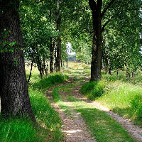 Schrijfwandeling 'licht'