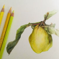 Workshop: Botanisch tekenen