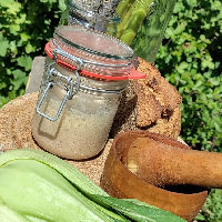 Workshop: Wild fermenteren / Forest fermentation