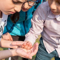 Vakantiefestival: Kriebelbeestjes bij jou in de buurt