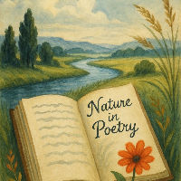 Poëzie in het Park / Poetry at the Park