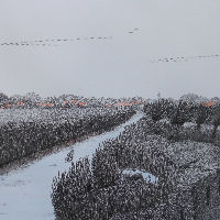 Expositie van pentekenaar Marius Weststrate