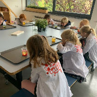 Experimenteren met Proefjes met Boefjes