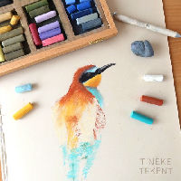 Cursus | Tekenen met zacht pastel